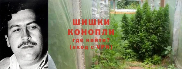 экстази Бородино